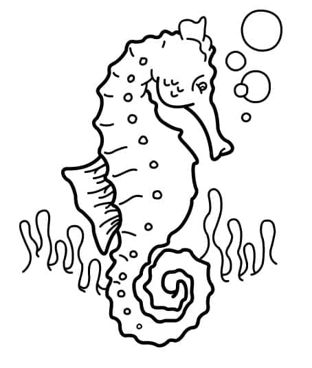 Ein schwimmendes Seepferdchen