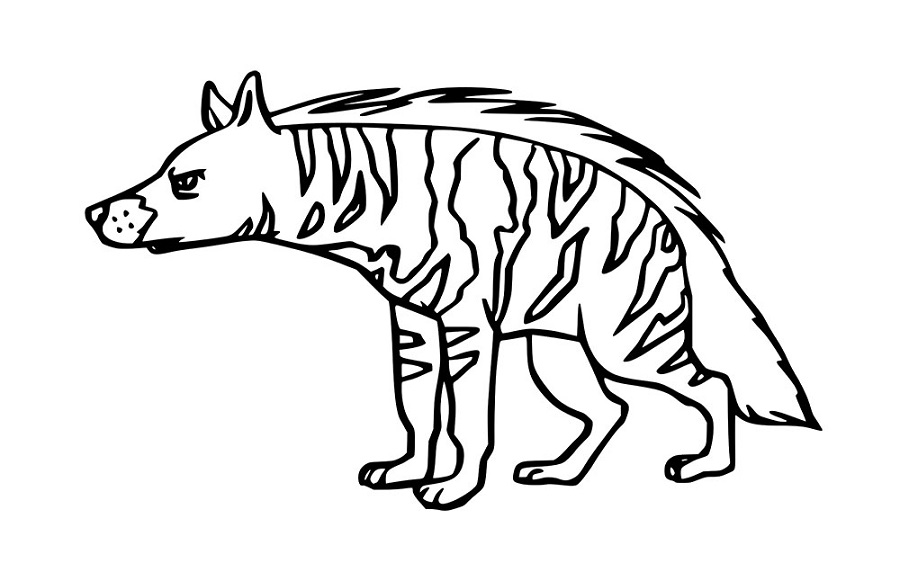 Einfache Gestreifte Hyänen