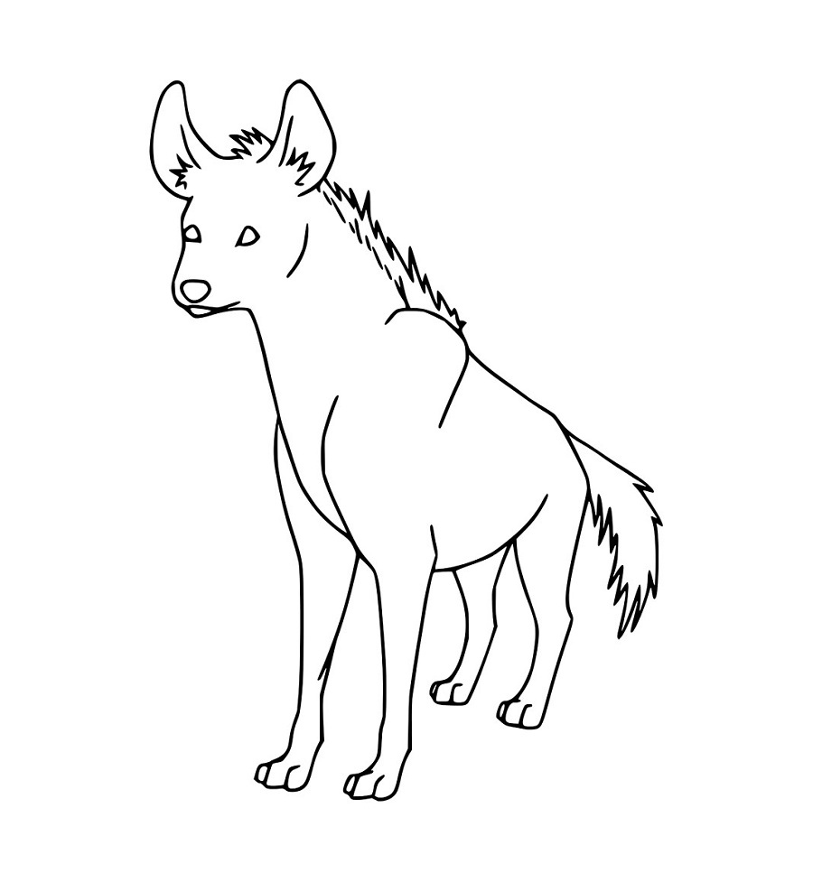 Einfache weiße Hyäne