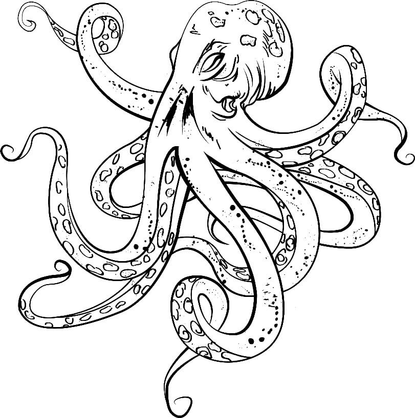 Einfacher Oktopus