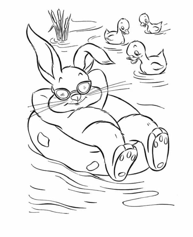 Entspannendes Kaninchen