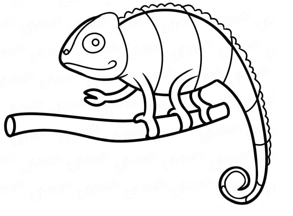 Fröhliches Chamäleon