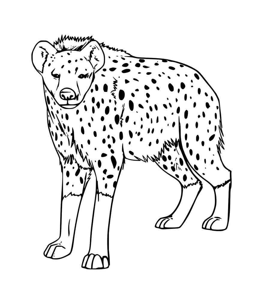 große gefleckte Hyänen