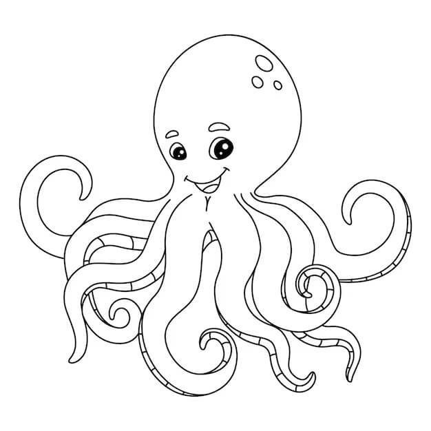 Großer Oktopus