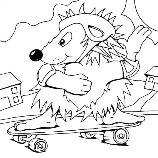 Igel auf Skateboard