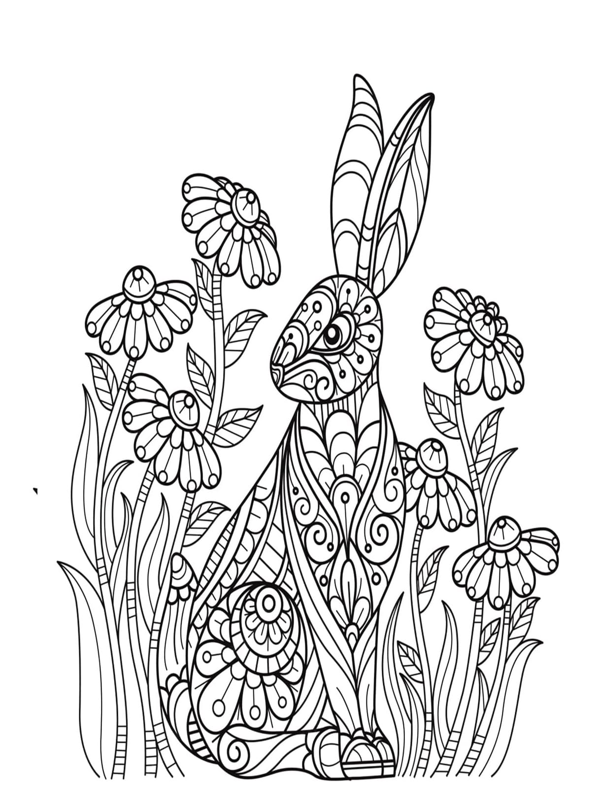 Kaninchen für Erwachsene