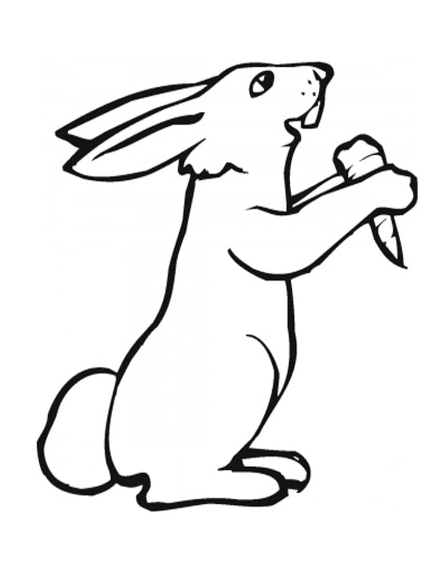 Kaninchen und eine Karotte