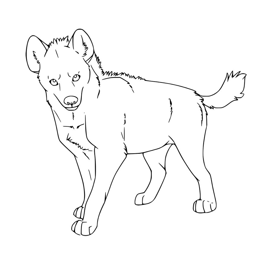 Karikatur braune Hyänen