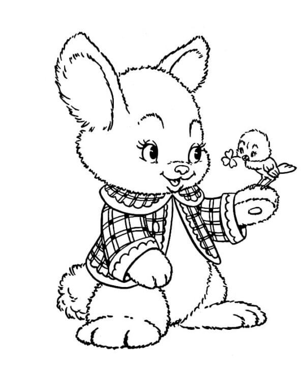 Küken brachte Klee für den Osterhasen