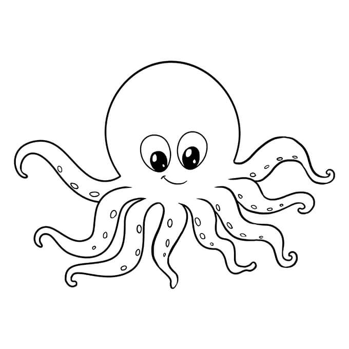 Liebe Oktopus