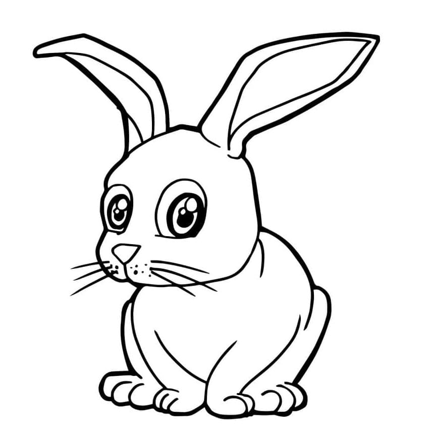 Neugieriges Kaninchen