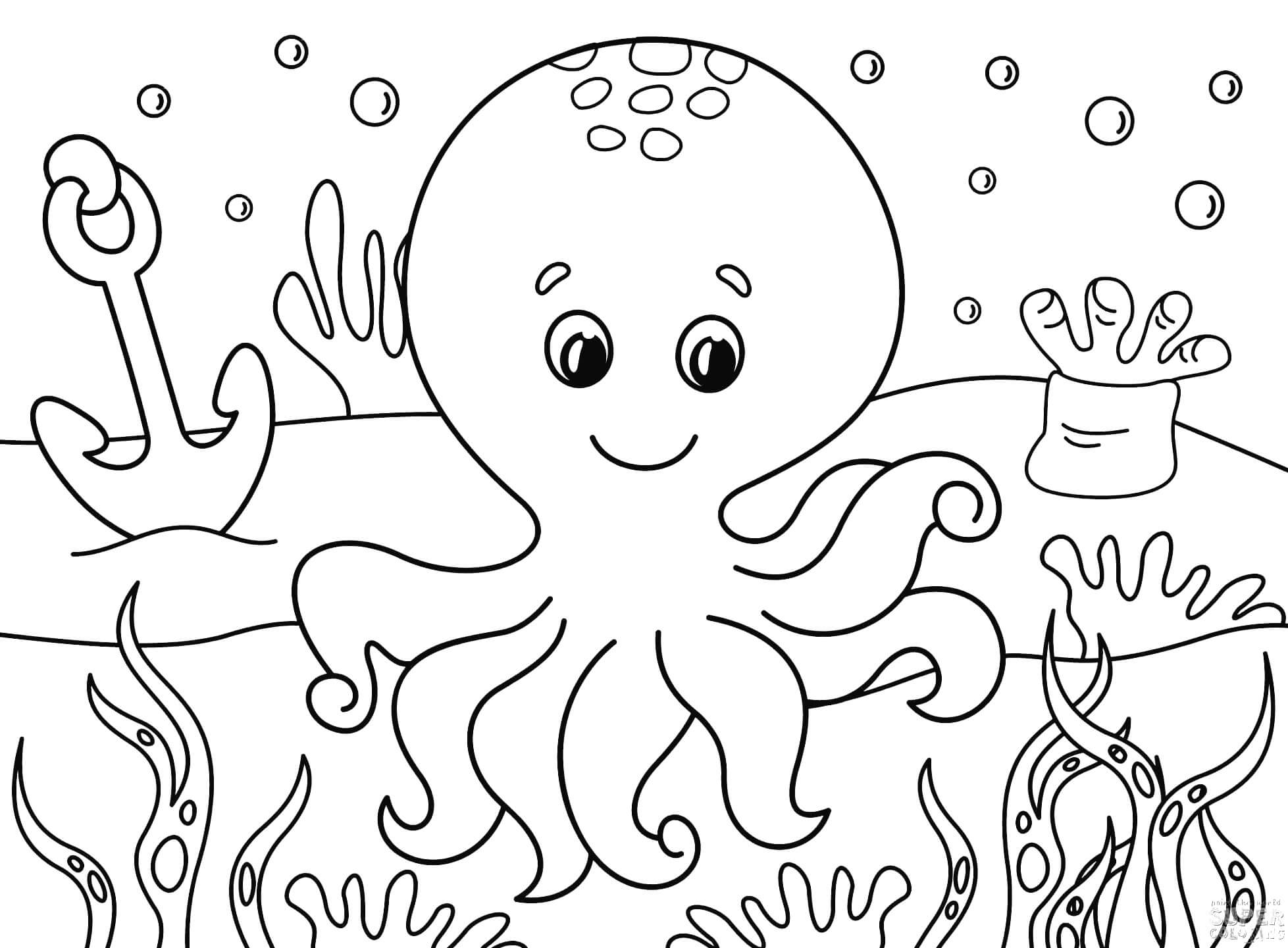 Niedlicher Oktopus im Meer