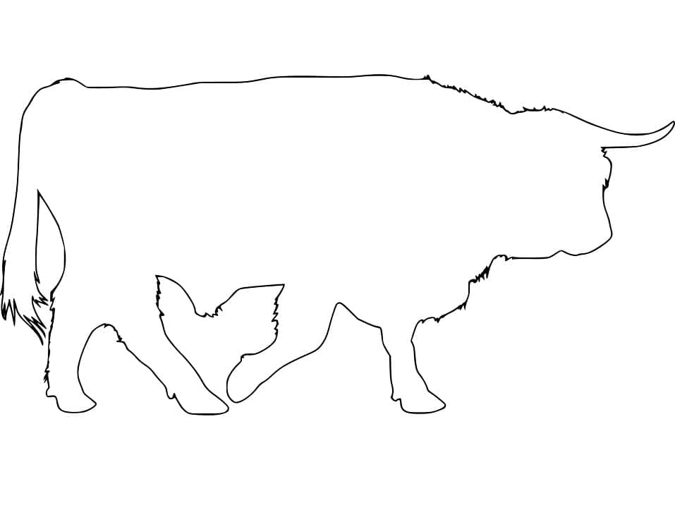 Ochse Umriss