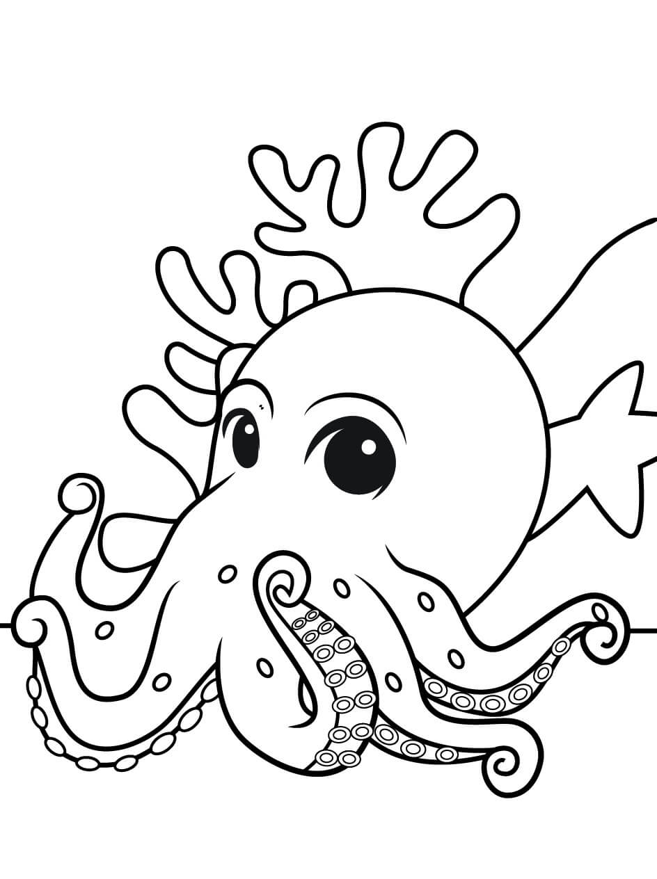 Oktopus mit Koralle