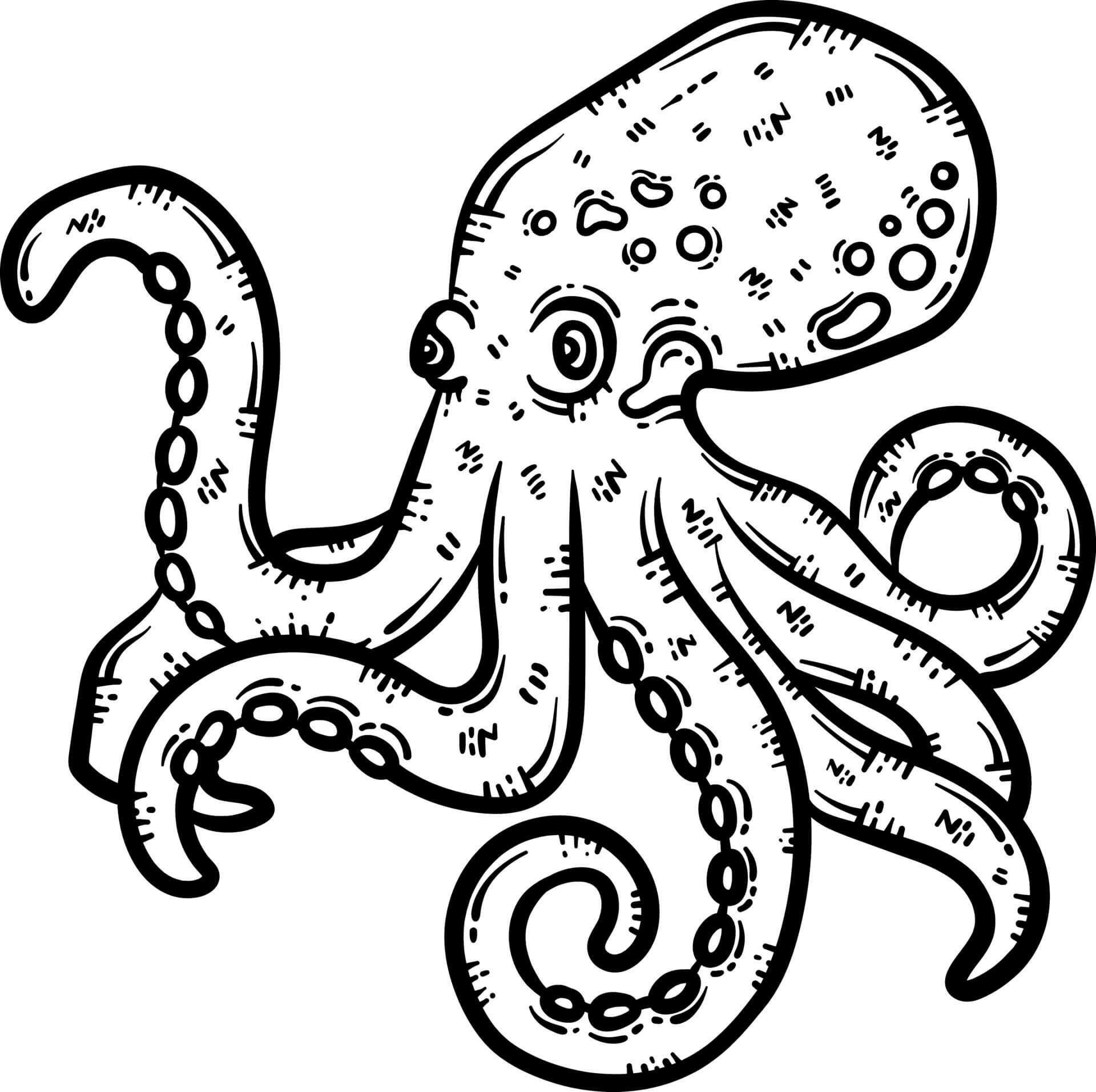 Oktopus zeichnen