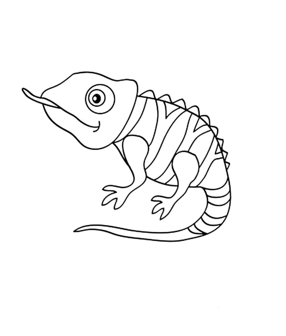 perfektes Chamäleon