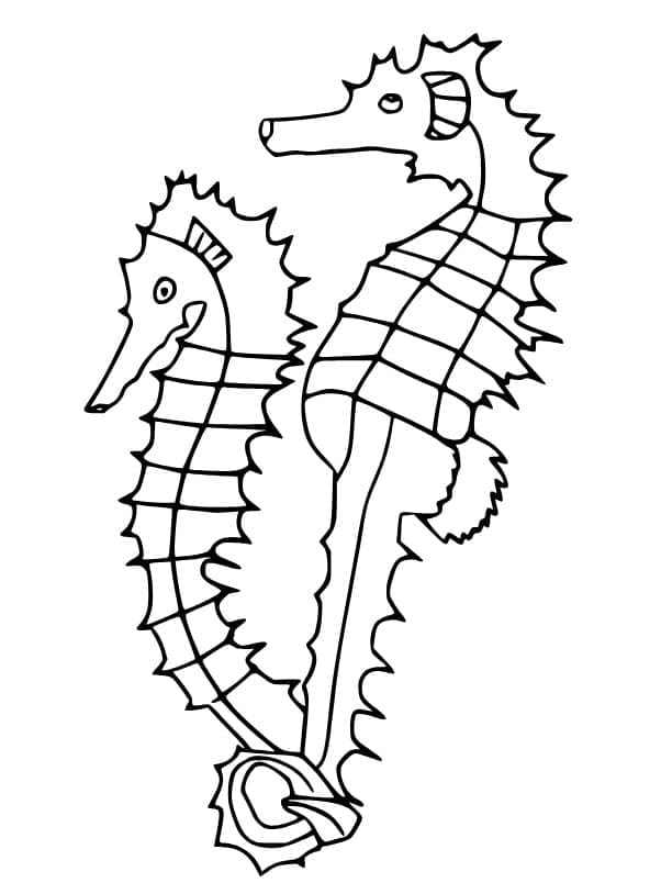 Seepferdchen für Erwachsene