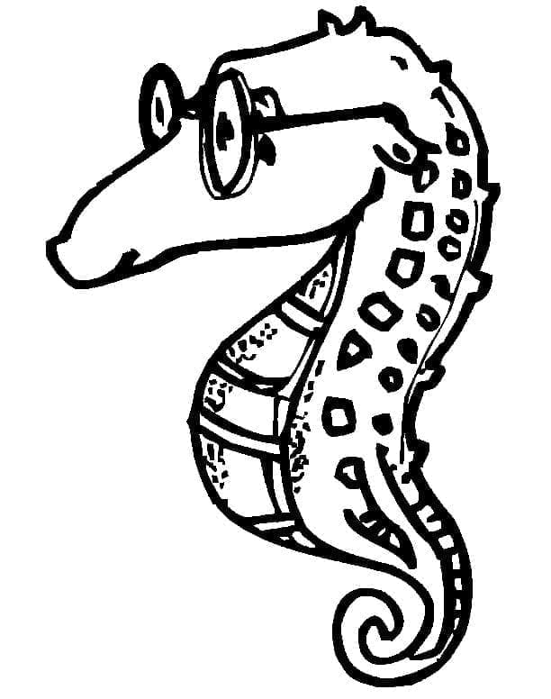 Seepferdchen mit Brille