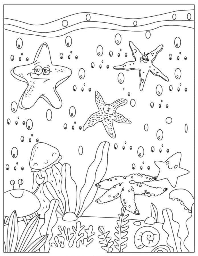 Seestern unter dem Meer