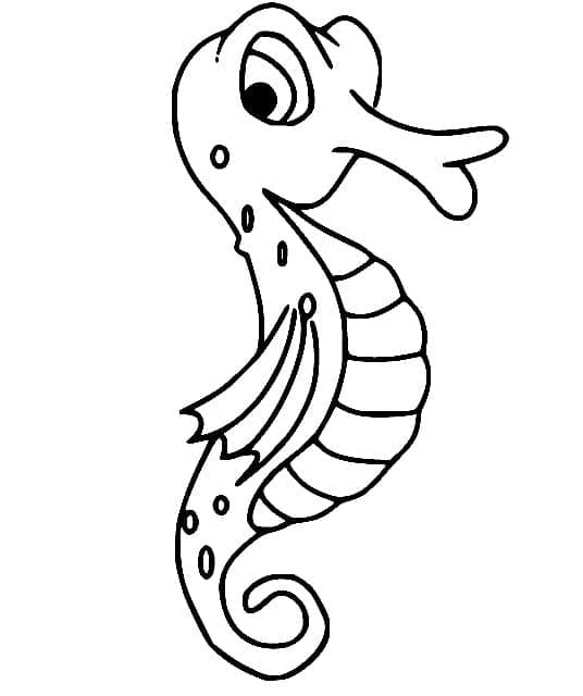 Sehr kleines Seepferdchen