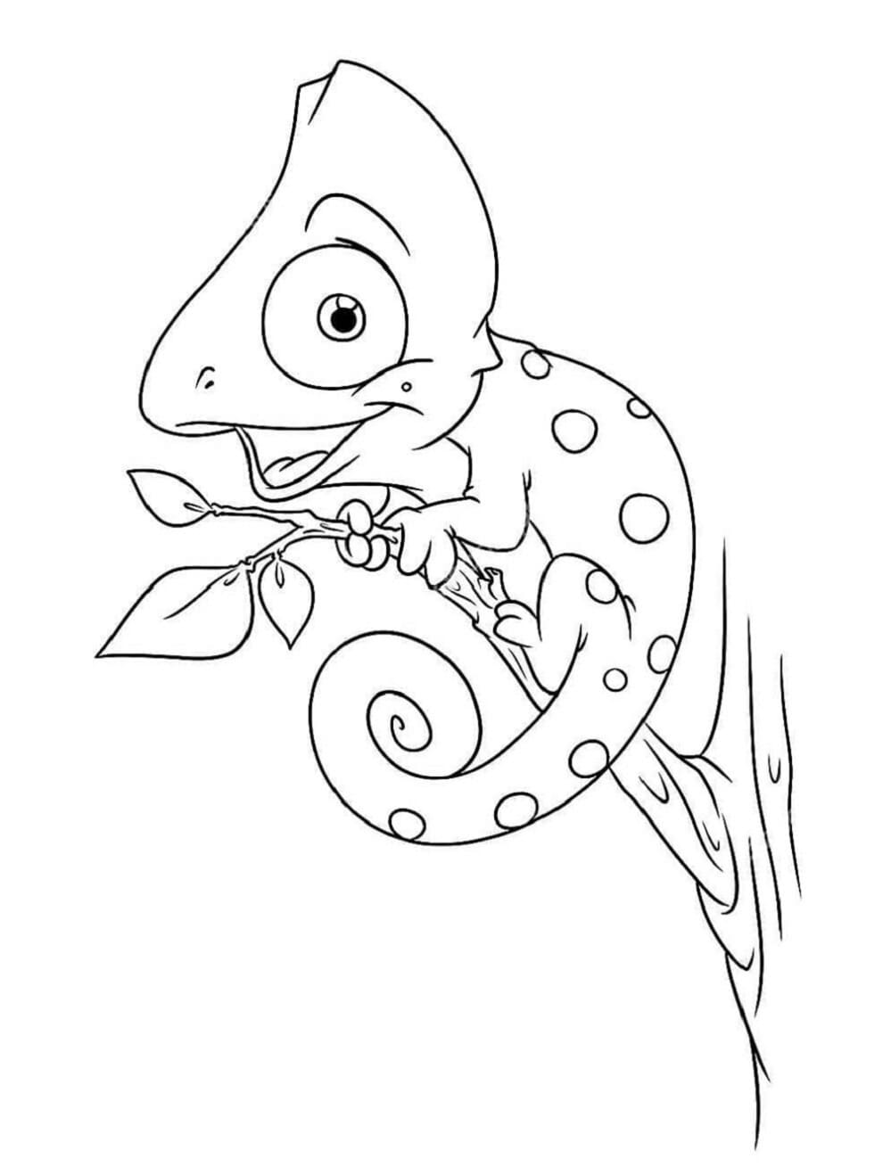 Chamäleon ausmalbilder