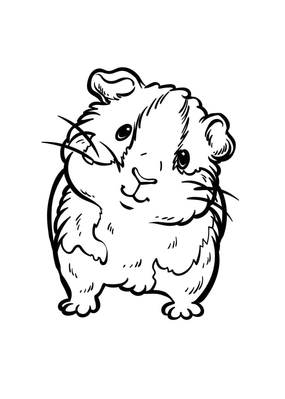 Süßes Meerschweinchen zum Ausdrucken