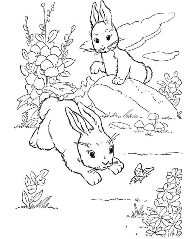 Zwei kleine Kaninchen