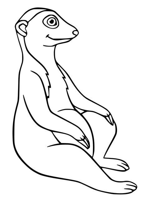 Erdmännchen sitzt auf dem Boden