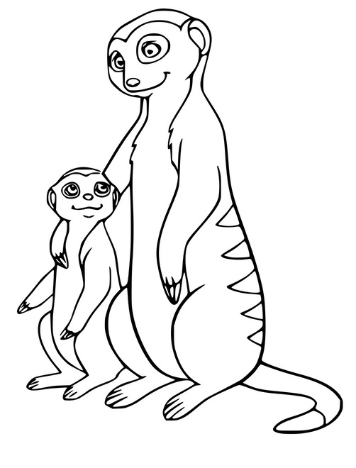 Erdmännchen und ihr Baby