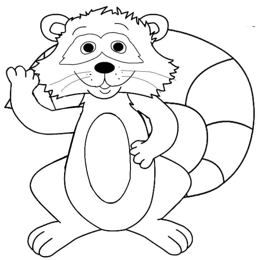 Freundlicher Waschbär