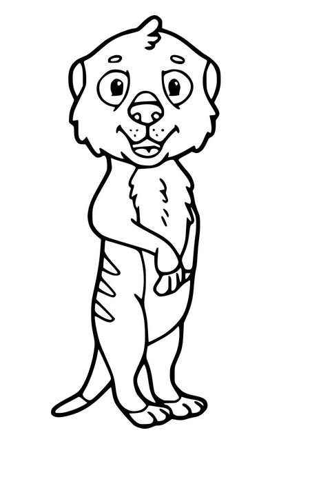 Karikatur klein erdmännchen