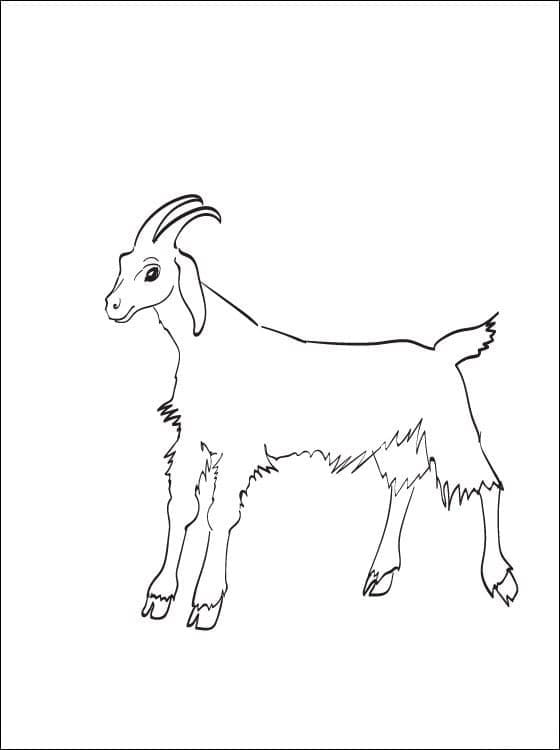 Kostenlose druckbare Ziegen