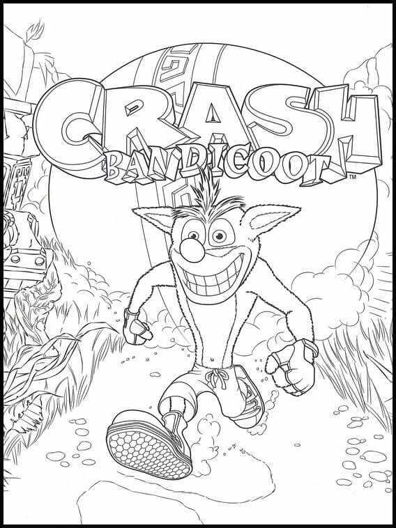 Netter Crash Bandicoot