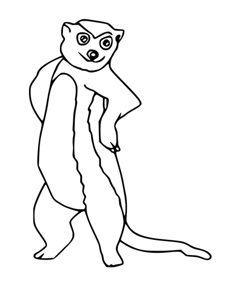 Starkes Erdmännchen