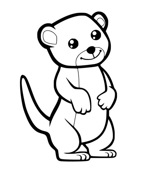 Süßes Erdmännchen Baby