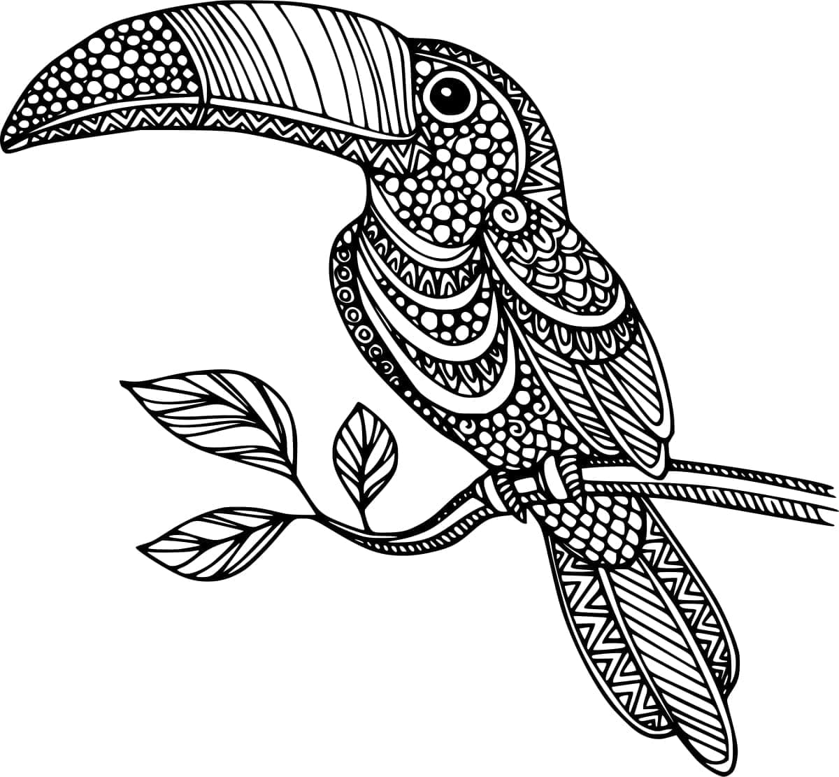 Tukan Vogel Zentangle