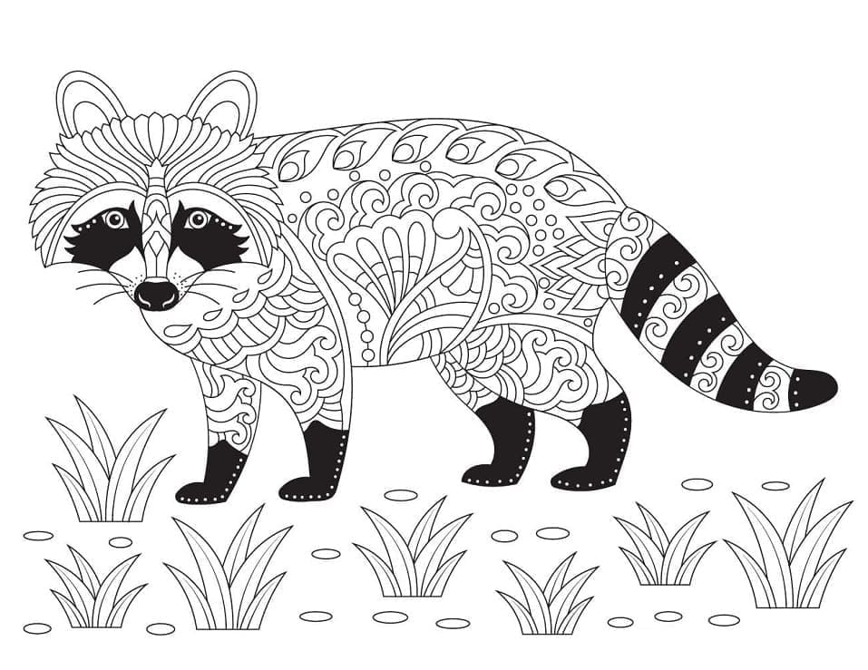 Waschbär Zentangle