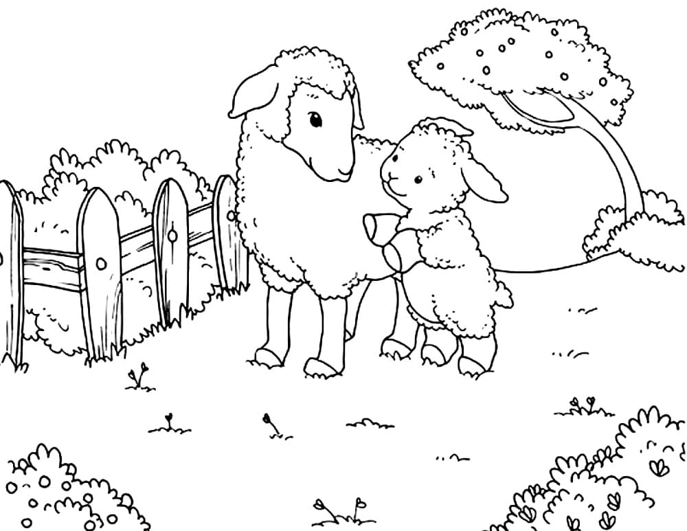 Lamm auf einem Bauernhof