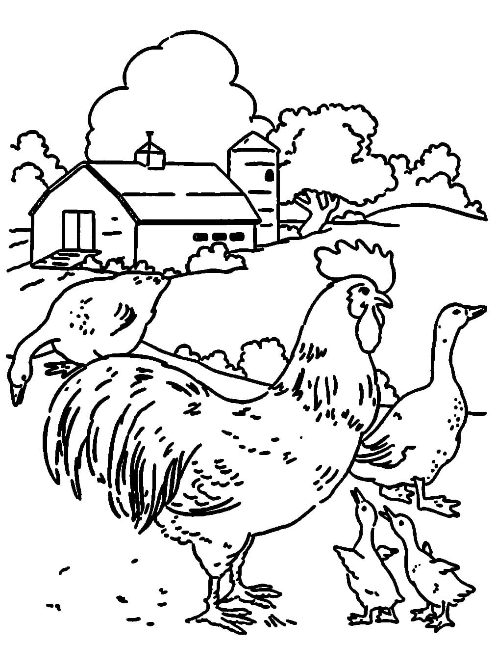 Netter Hahn auf dem Bauernhof