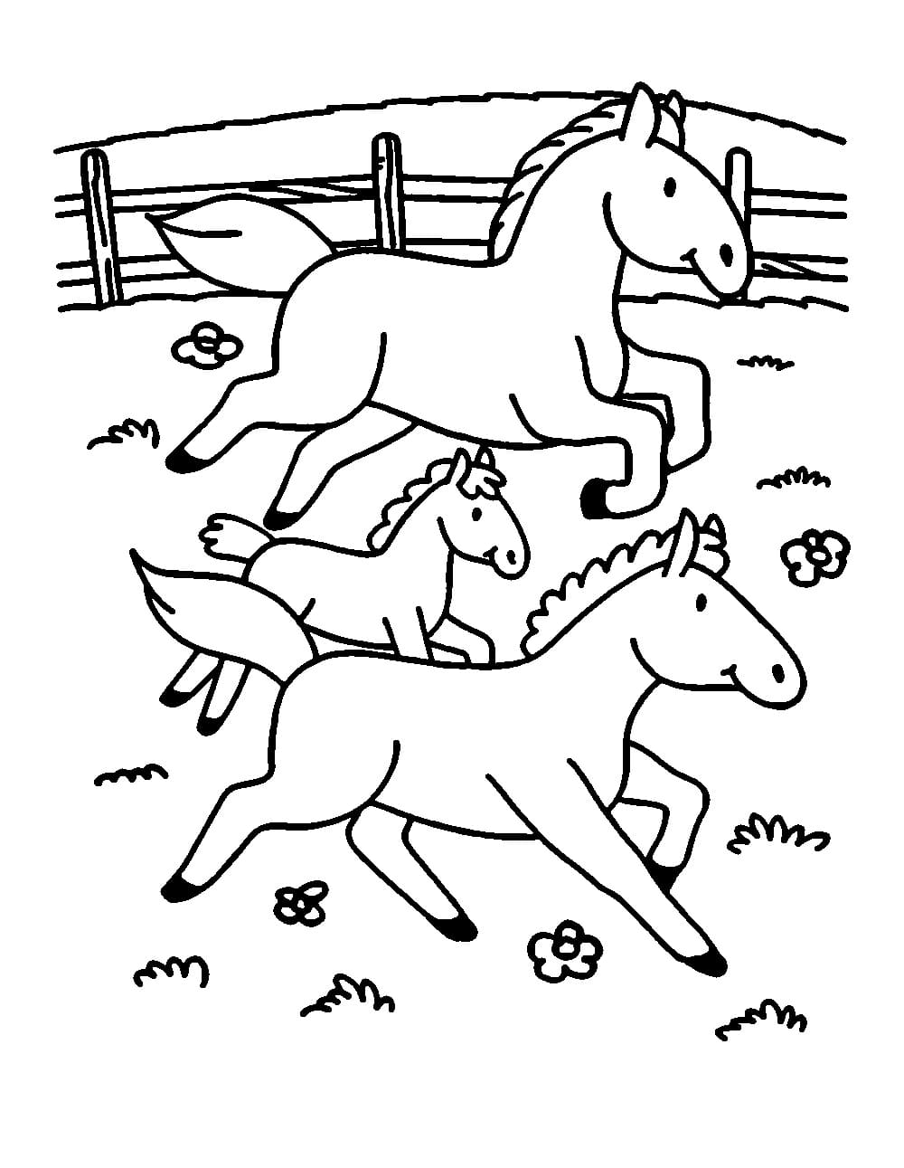 Pferdefamilie auf dem Bauernhof