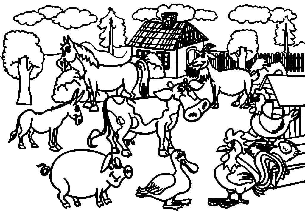 Tier auf einem Bauernhof