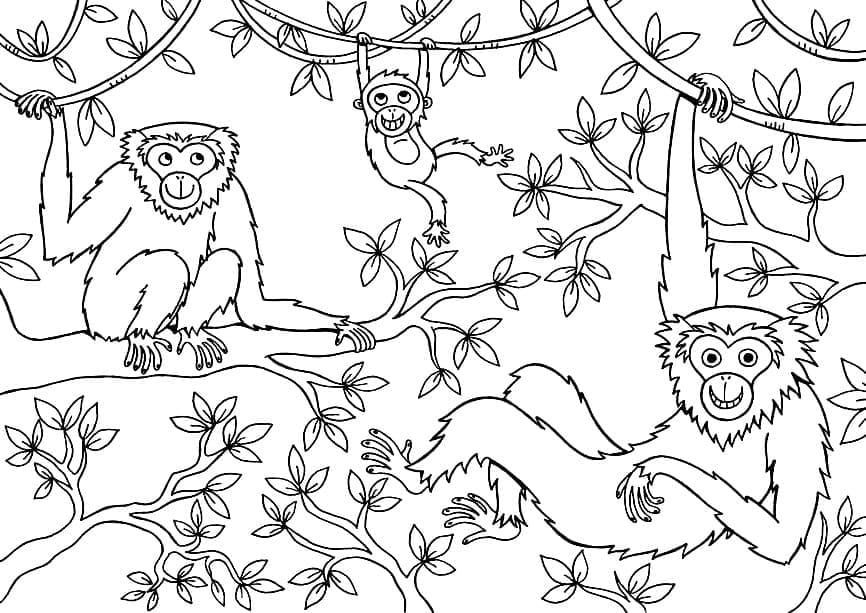 Affen auf einem Baum