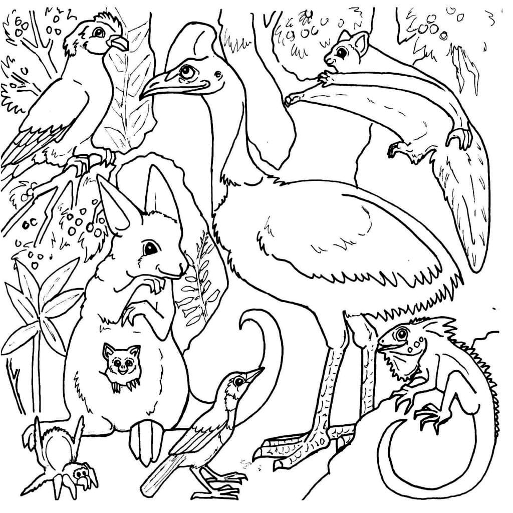 Dschungeltiere in Australien