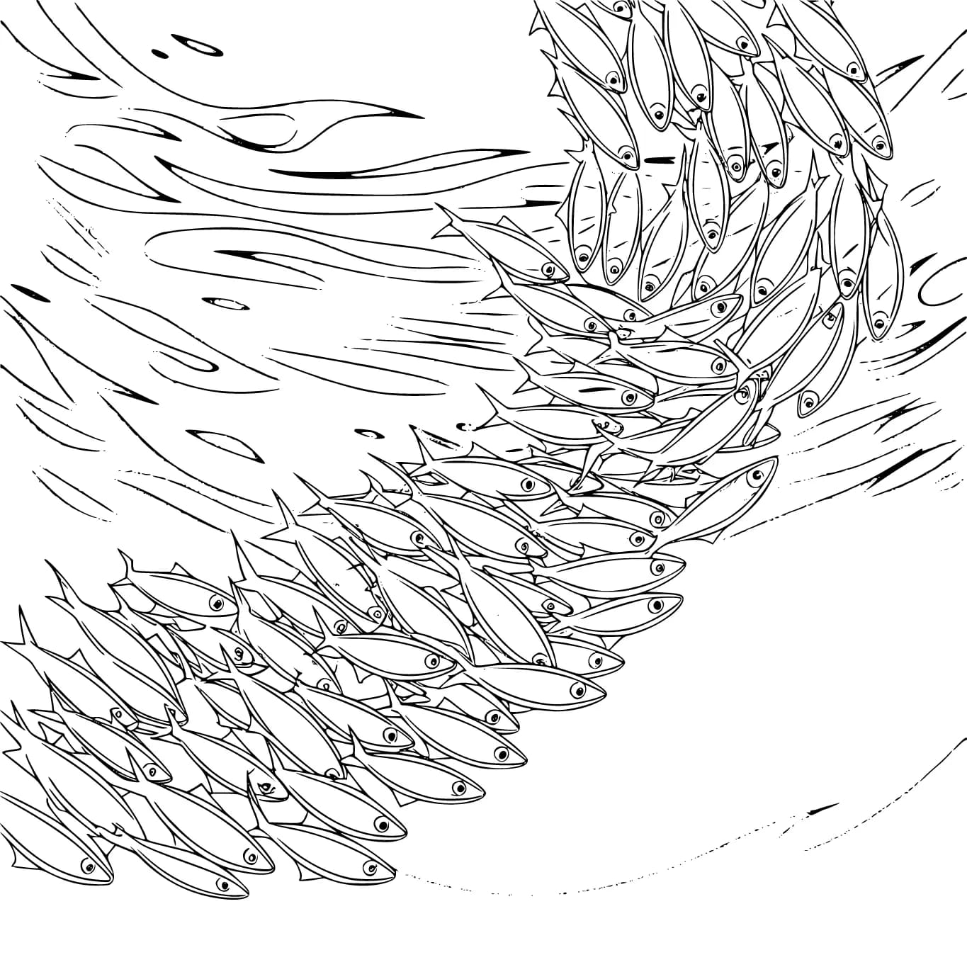 Sardinen Meerestiere