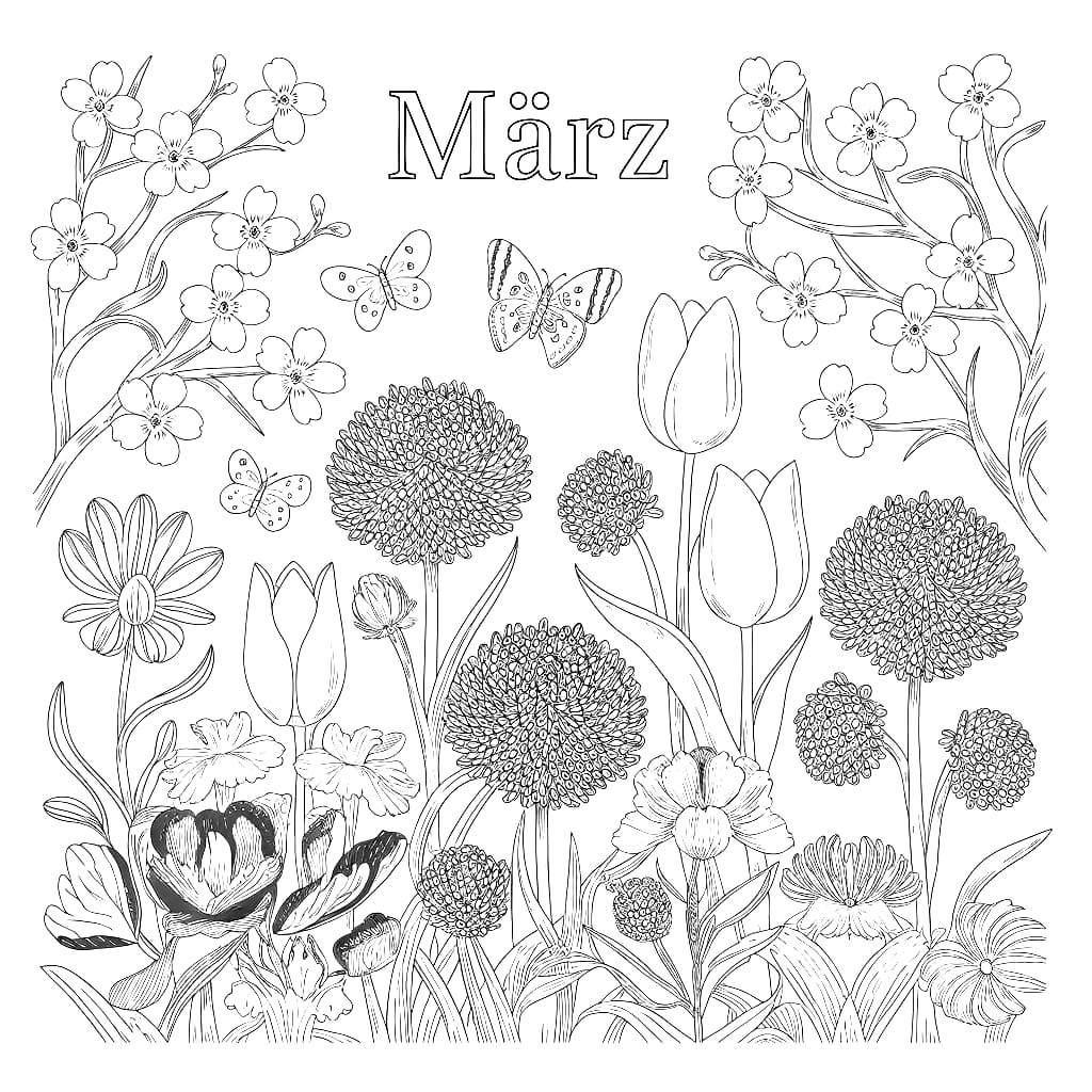 Blumengarten im März