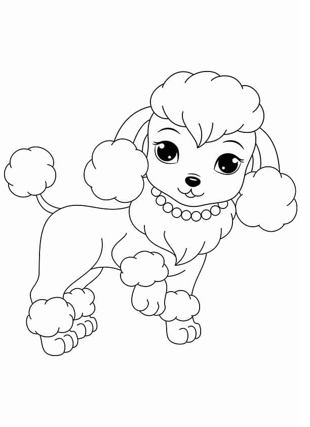 Entzückender Pudel