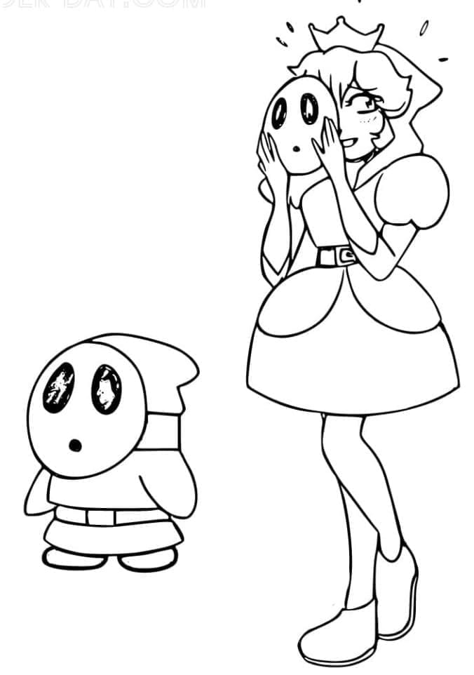 Shy Guy Mario und Prinzessin Peach