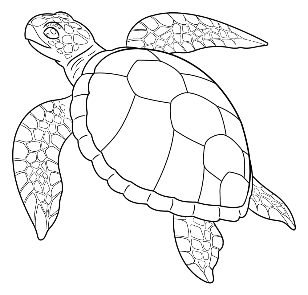 Realistische Meeresschildkröte