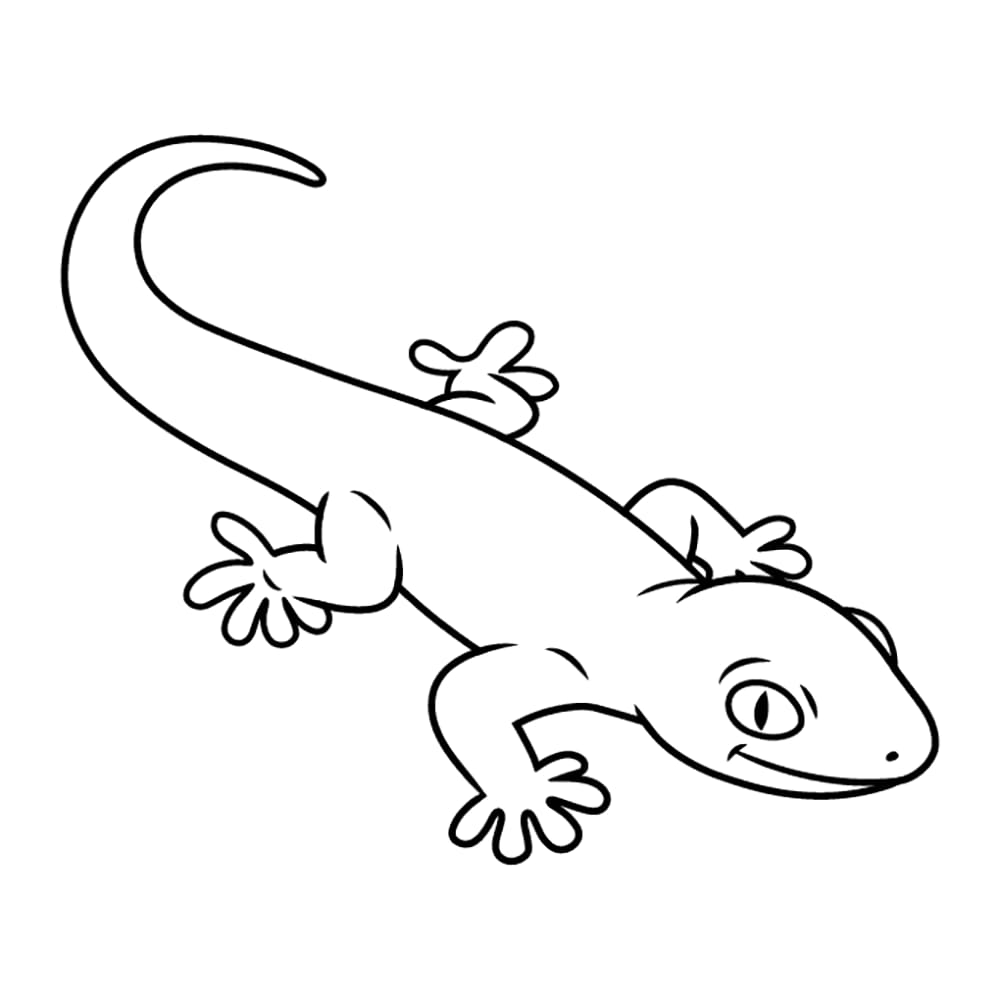 Reptilien Gecko