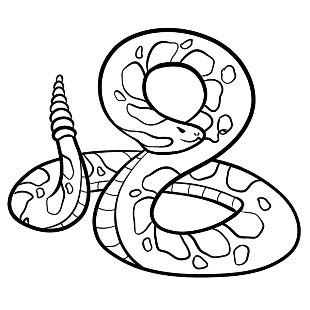 Reptilien Klapperschlange